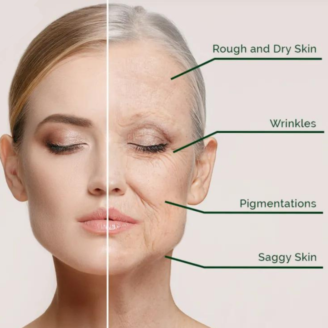 Dr. Melaxin Calcium & Collagen Balm Stick | Repair Wrinkles & Repair Skin Cells